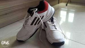 Original Adidas Shoes. It's brand new and has not been used