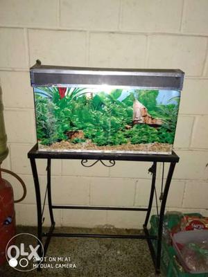 Aquarium with stand if you interested please
