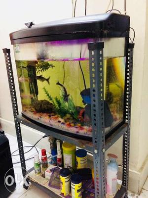 Fish aquarium 2 feet with accessories Light,