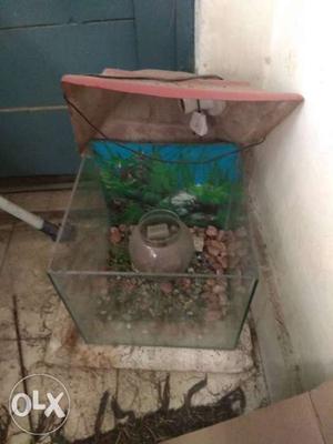 Fish tank with light connection +stone +small tank