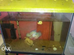 I sell my fish tank L24 H18 W12 and acralic cover