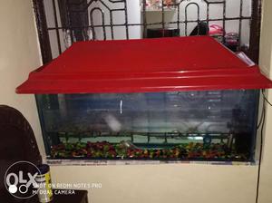 With one fish heater and pump only for a pet lover