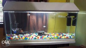 3 ft fish tank for sale & acc