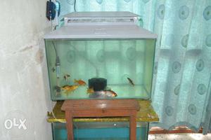 Aqraium fish tank