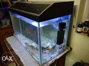 Aquarium Fish Tank with Black Stand and fish