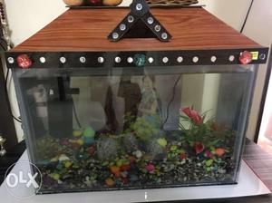 Aquarium for sale with stones, and fish food,