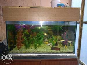 Aquarium of size 3x1.5x1.5 feet. with wooden