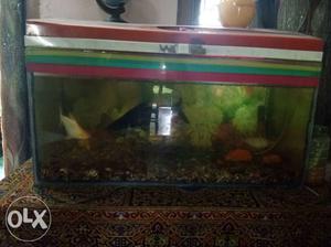Aquarium with fish and table! Negotiable.
