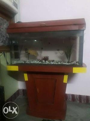 Big aquarium size x14 with wooden stand urgent sale