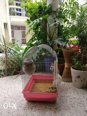Bird cage. can house 6 of them. Also, has a