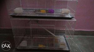 Bird cage for sale