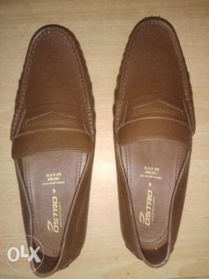 Brown Ostro Rainy Loafers