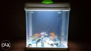 Cute & Compact Brand new Fish Tank inbuilt Oxygen-filter +