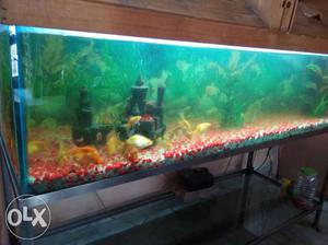 Fish Aquarium of 21 inches * 60 inches along with