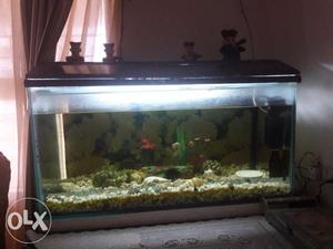 Fish Tank For Sell