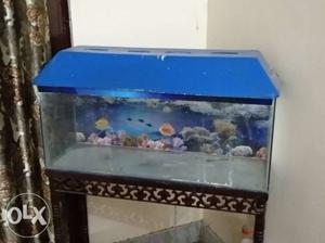 Fish aquarium with stand.It also has artificial