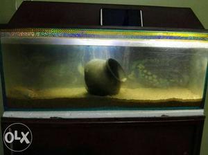 Fish pot with wooden cabinet cover filters oxygen n gold