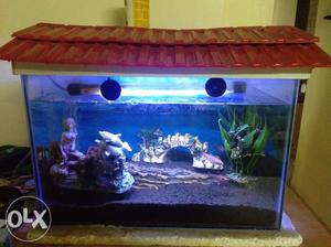 Fish tank with top cover accessories and fishes