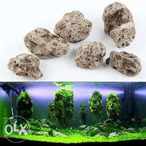Floating rock(Avatar Rock) For planted tanks
