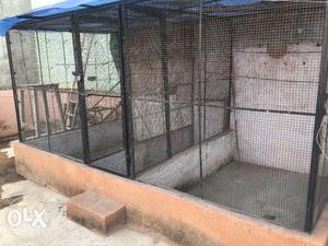Good condition cage for All birds having 3