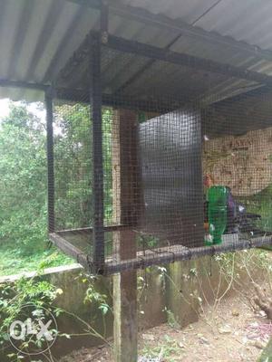 Good condition,roof attached