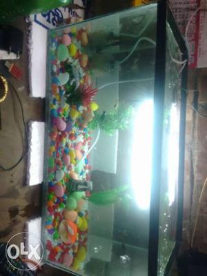 I sell may 2.5 feet Aquarium, filter,moter,2tree,10 fish,5