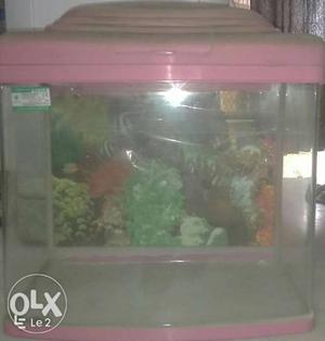 Pet Tank With Pink Frame