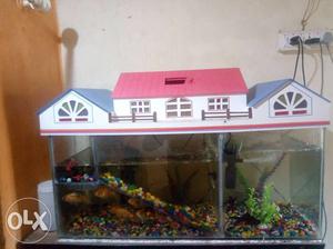 White, Pink, And Blue House Framed Fish Tank