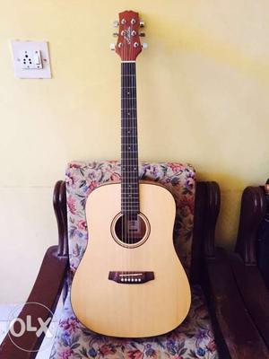 Ashton Dreadnought D20 acoustic guitar for sale
