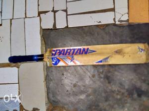 Bat in good condition at lowest price