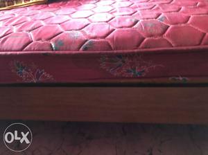 Kurlon Double cot bed with good condition