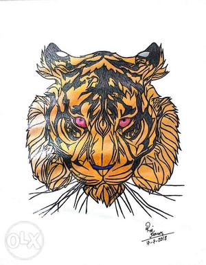 Sketch colour of Tiger
