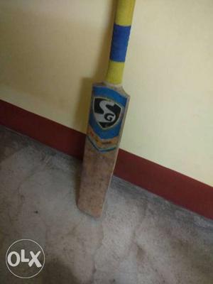 This is a SG bat, 7 months old. This bat was