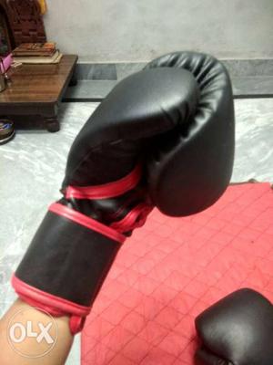 2 boxing Gloves at ₹789 original Prospo brand