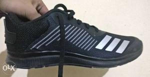 ADIDAS Puaro Black Running Shoes 7 Brand New Size