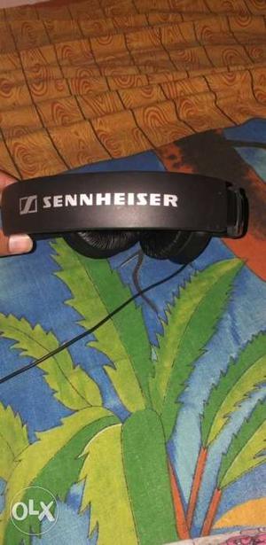 Black Sennheiser Headphones