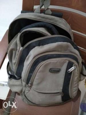 Gray And Black Backpack/shoulder bag