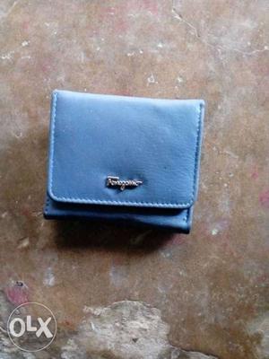 Blue Salvatore Ferragamo Wallet