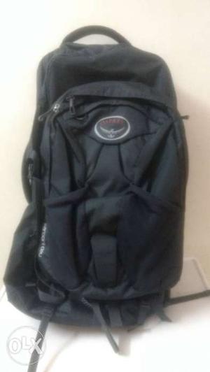 Osprey imported travel backpack