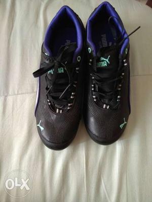 Puma Shoes Size 4&1/2 or  brand new unused