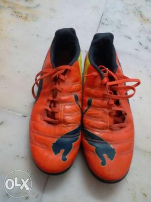 Puma orignal very good condition only 1 time used...