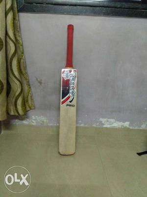 Brown And Red Pro Cricket Bat of season