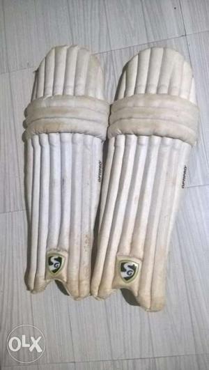 Cricket session legs pads