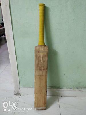 GradeA cricket bat