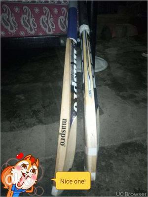 Kashmir willow New bats two