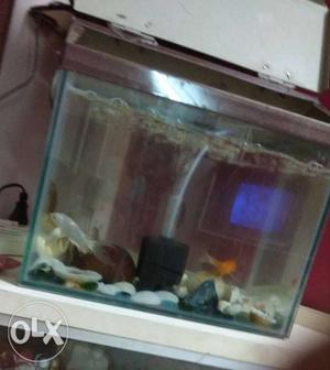 1feet fish tank with cover fix price I want take