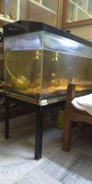 250ltrs Aquarium with Stand, Rocks and filter and