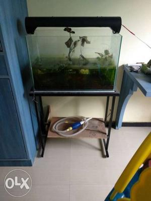 2ft fish tank with stand,light with soil and ready to plant