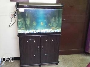 3 feet imported fish tank for sale