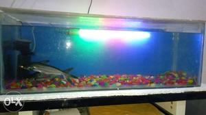 (4 x 1.5) Fish Tank with filter and oxygen,